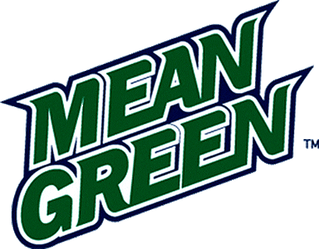 North Texas Mean Green 2003-2004 Wordmark Logo DIY iron on transfer (heat transfer)